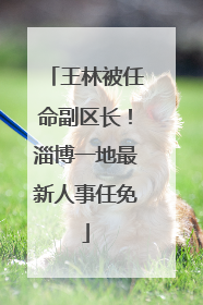 王林被任命副区长！淄博一地最新人事任免