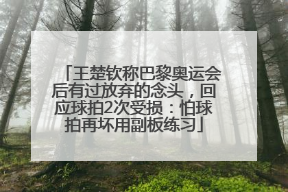 王楚钦称巴黎奥运会后有过放弃的念头，回应球拍2次受损：怕球拍再坏用副板练习