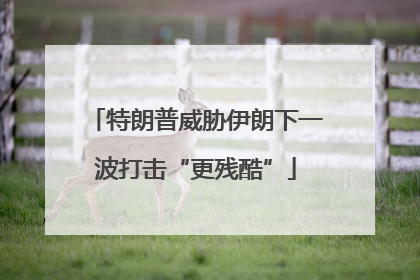 特朗普威胁伊朗下一波打击“更残酷”