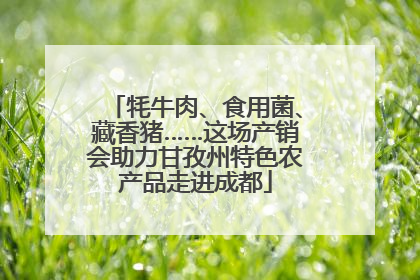 牦牛肉、食用菌、藏香猪……这场产销会助力甘孜州特色农产品走进成都