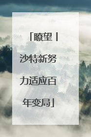 瞭望丨沙特新努力适应百年变局