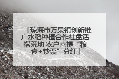 琼海市万泉镇创新推广水稻种植合作社盘活撂荒地 农户喜提“粮食+钞票”分红