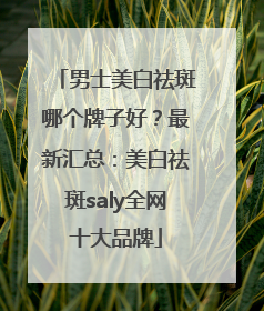 男士美白祛斑哪个牌子好？最新汇总：美白祛斑saly全网十大品牌