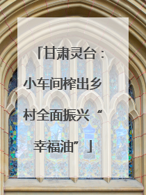 甘肃灵台：小车间榨出乡村全面振兴“幸福油”