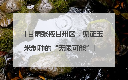 甘肃张掖甘州区：见证玉米制种的“无限可能”