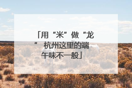 用“米”做“龙” 杭州这里的端午味不一般