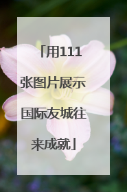 用111张图片展示国际友城往来成就