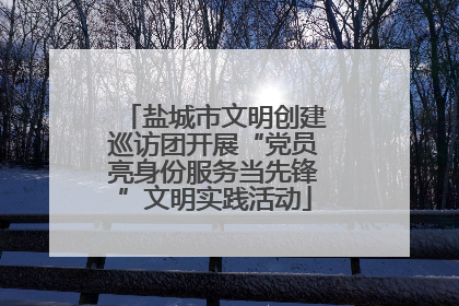 盐城市文明创建巡访团开展“党员亮身份服务当先锋”文明实践活动
