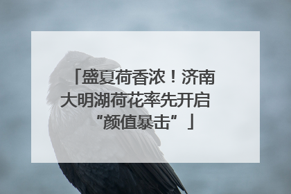 盛夏荷香浓！济南大明湖荷花率先开启“颜值暴击”