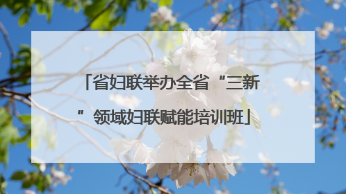 省妇联举办全省“三新”领域妇联赋能培训班