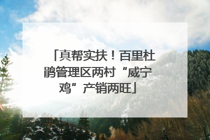 真帮实扶！百里杜鹃管理区两村“威宁鸡”产销两旺