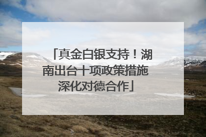 真金白银支持！湖南出台十项政策措施深化对德合作