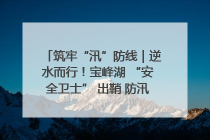 筑牢“汛”防线｜逆水而行！宝峰湖 “安全卫士” 出鞘 防汛应急再添硬核力量