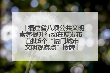 福建省八项公共文明素养提升行动在厦发布 首批6个“厦门城市文明观察点”授牌