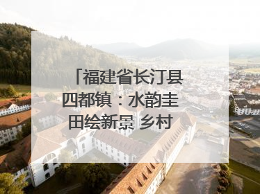 福建省长汀县四都镇：水韵圭田绘新景 乡村振兴谱华章