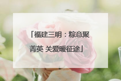 福建三明：粽意聚菁英 关爱暖征途