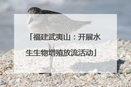 福建武夷山：开展水生生物增殖放流活动