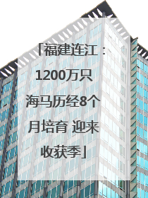 福建连江：1200万只海马历经8个月培育 迎来收获季