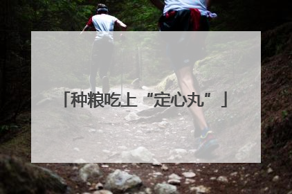 种粮吃上“定心丸”