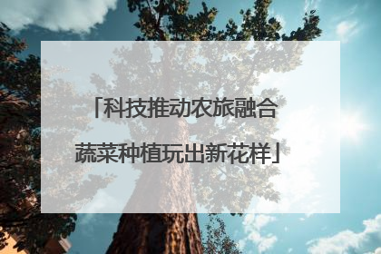科技推动农旅融合 蔬菜种植玩出新花样