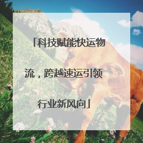 科技赋能快运物流，跨越速运引领行业新风向
