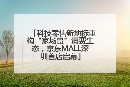 科技零售新地标重构“家场景”消费生态，京东MALL深圳首店启幕