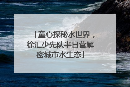 童心探秘水世界，徐汇少先队半日营解密城市水生态