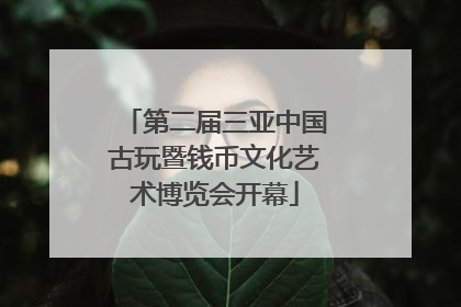 第二届三亚中国古玩暨钱币文化艺术博览会开幕