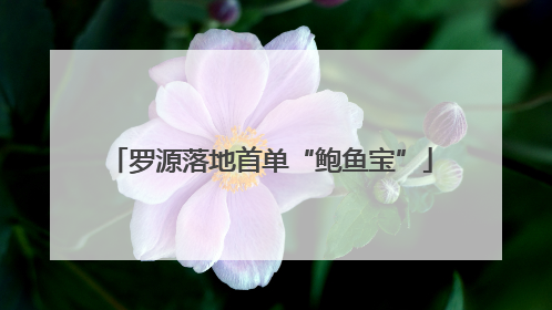 罗源落地首单“鲍鱼宝”