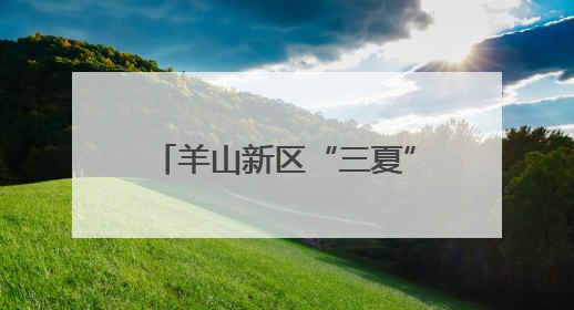 羊山新区“三夏”生产全面发力，护航农业稳产增收