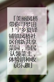 美丽凤桥带你寻梦田！宁乡夏铎铺镇凤桥社区创新共享菜园，市民认领菜土，体验耕种收获乐趣
