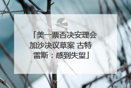 美一票否决安理会加沙决议草案 古特雷斯：感到失望