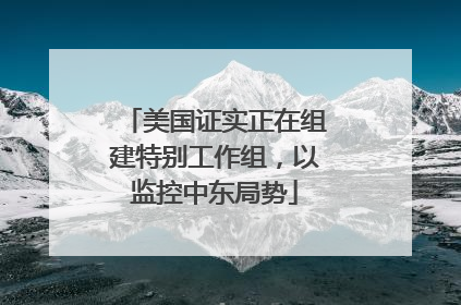 美国证实正在组建特别工作组，以监控中东局势
