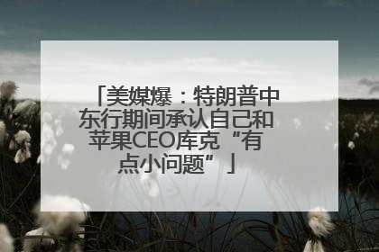 美媒爆：特朗普中东行期间承认自己和苹果CEO库克“有点小问题”