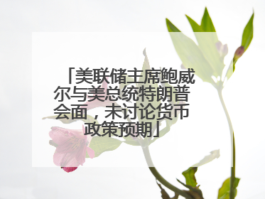美联储主席鲍威尔与美总统特朗普会面，未讨论货币政策预期