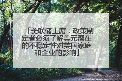 美联储主席：政策制定者必须了解美元潜在的不稳定性对美国家庭和企业的影响
