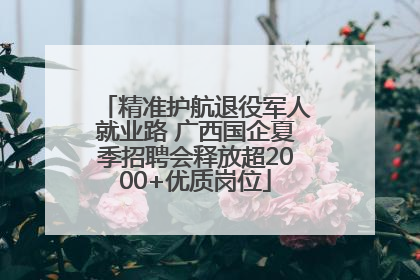 精准护航退役军人就业路 广西国企夏季招聘会释放超2000+优质岗位