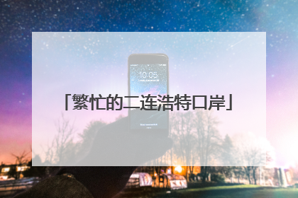 繁忙的二连浩特口岸