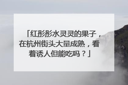 红彤彤水灵灵的果子，在杭州街头大量成熟，看着诱人但能吃吗？
