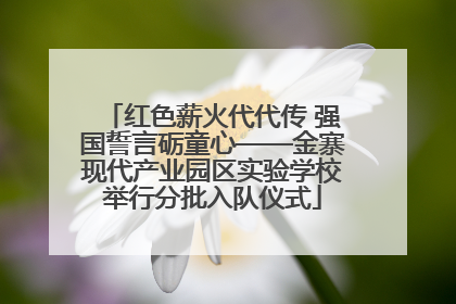 红色薪火代代传 强国誓言砺童心——金寨现代产业园区实验学校举行分批入队仪式
