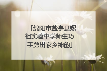 绵阳市盐亭县嫘祖实验中学师生巧手剪出家乡神韵
