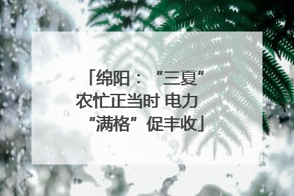 绵阳：“三夏”农忙正当时 电力“满格”促丰收