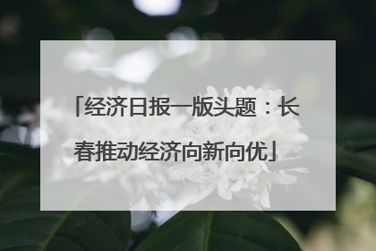 经济日报一版头题：长春推动经济向新向优