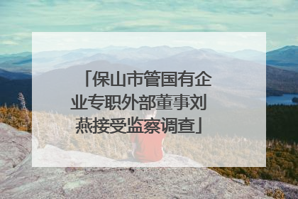 保山市管国有企业专职外部董事刘燕接受监察调查