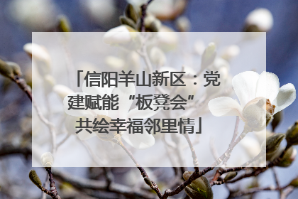信阳羊山新区：党建赋能“板凳会” 共绘幸福邻里情