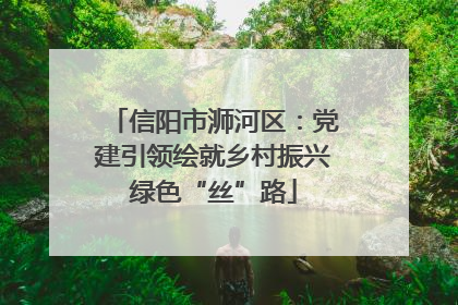 信阳市浉河区：党建引领绘就乡村振兴绿色“丝”路