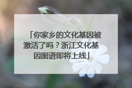 你家乡的文化基因被激活了吗？浙江文化基因图谱即将上线