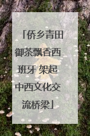 侨乡青田御茶飘香西班牙 架起中西文化交流桥梁