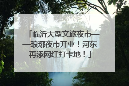 临沂大型文旅夜市——琅琊夜市开业！河东再添网红打卡地！