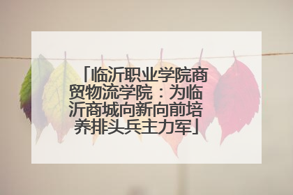 临沂职业学院商贸物流学院：为临沂商城向新向前培养排头兵主力军